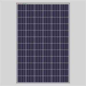 335 Watt DCR ALMM Solar Panel (Pack of Two)